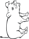 pig coloring page